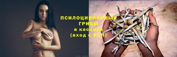 шишки Баксан