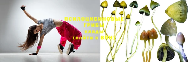 шишки Баксан