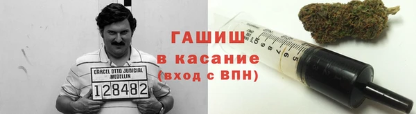 шишки Баксан