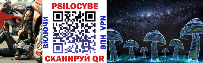 Купить где  Сафоново  Псилоцибиновые грибы GOLDEN TEACHER 